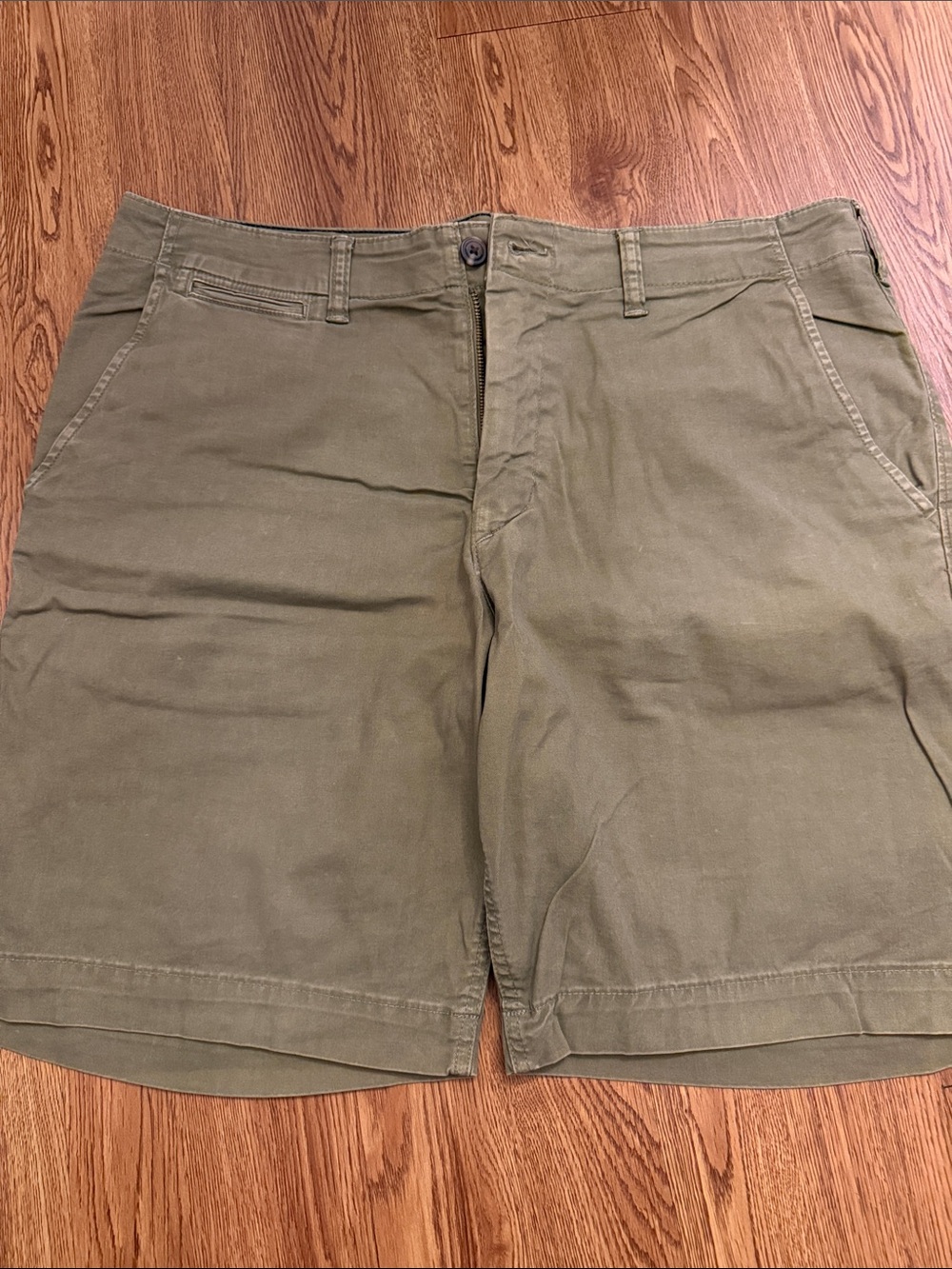 American Eagle Outfitters Olive Green Flat-Front Shorts